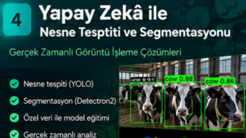 🤖Yapay Zekâ ile Nesne Tespiti ve Görüntü Segmentasyonu