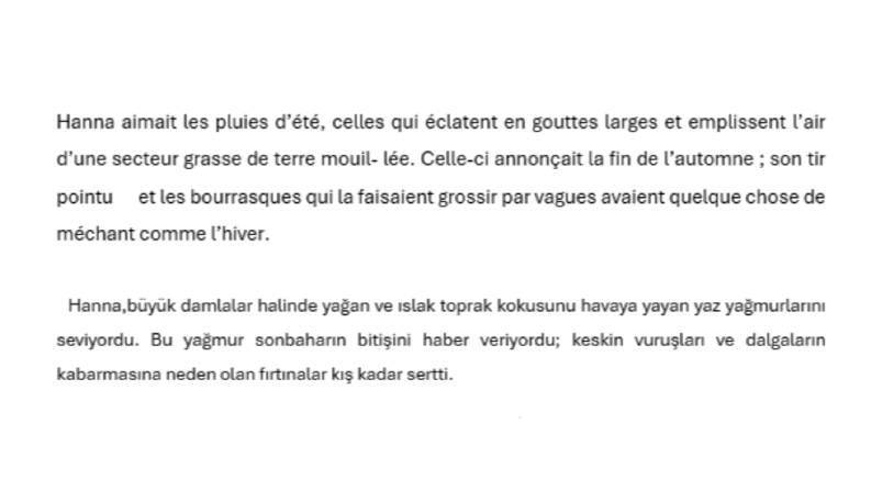 Öykü Çevirisi