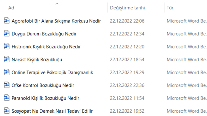 Örnekler