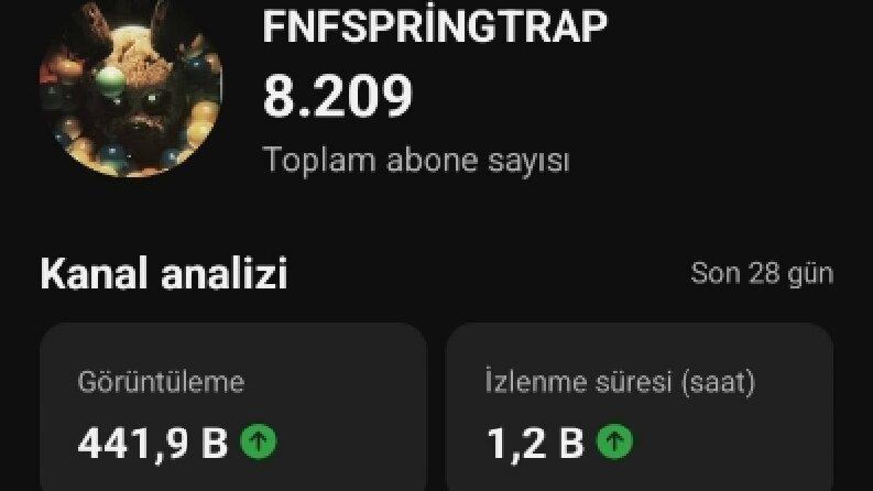 İçerik üreticisiyim Profesyonel 