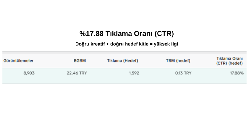 TikTok Reklam Performansı (Demo Çalışma)
