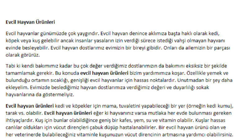 Ürün İnceleme Yazıları