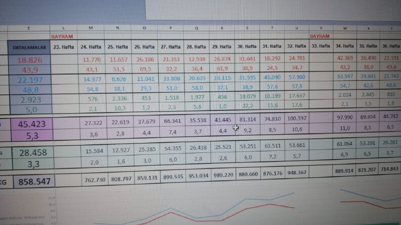 EXCEL - SİZİN İŞLERİNİZİ KISA SÜREDE GERÇEKLEŞTİRSİN.