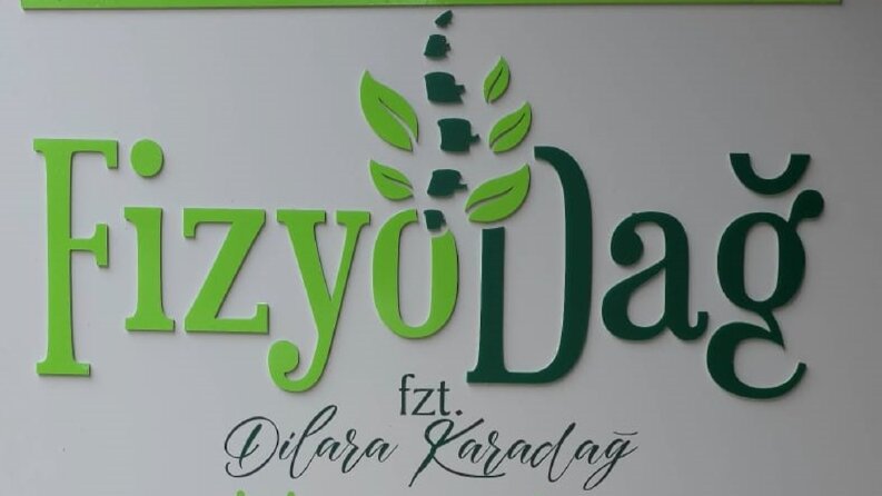 Fizyodağ Logo Tasarımı