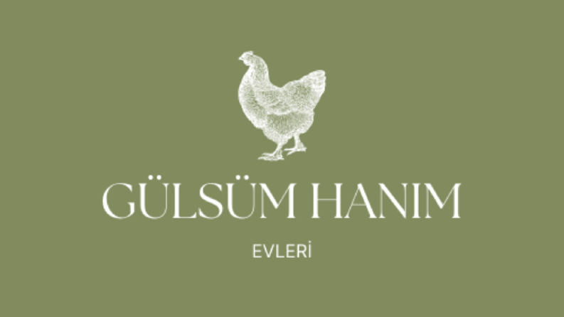instagram için logo çalışması