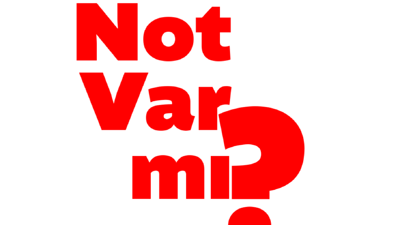 Not Var mı? İnternet Sitesi Logo Tasarımı