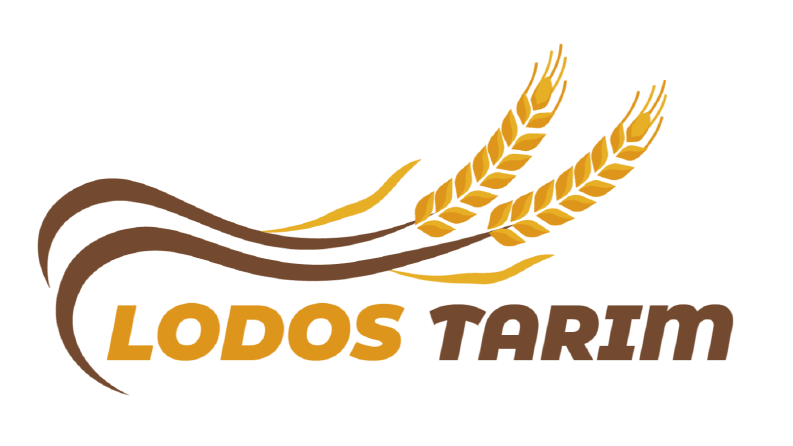 Lodos Tarım
