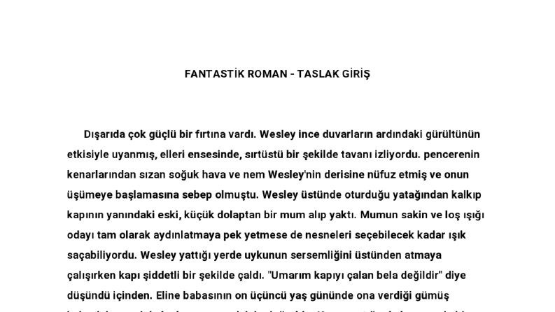 Fantastik roman, giriş taslağı