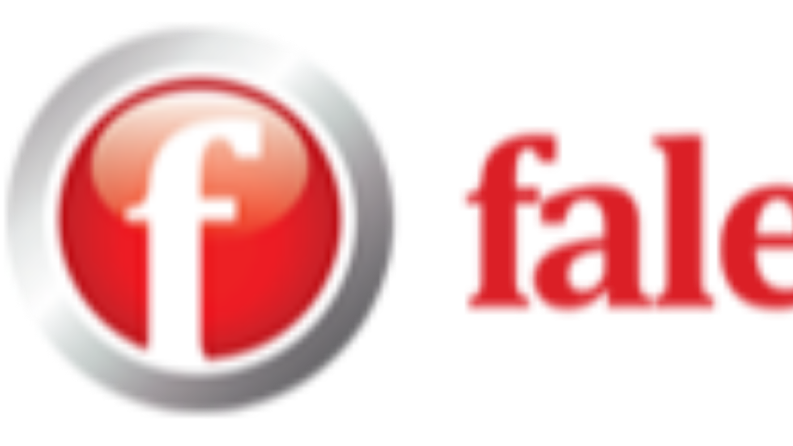 Falez Çelik Kapı - Pazar Araştırması