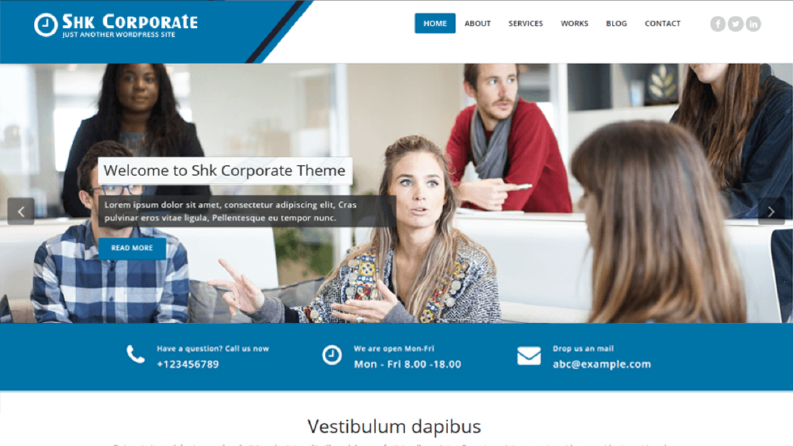 Profesyonel Web Sitesi Kurulumları
