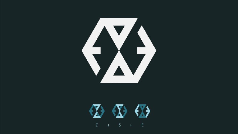 ZSE IT - Rebranding / Logo and corporate identity