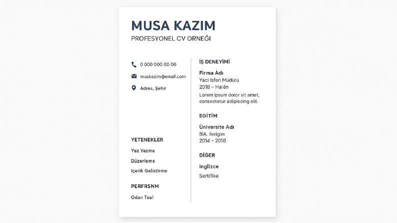 Profesyonel CV Hazırlama ve Düzenleme Örneği