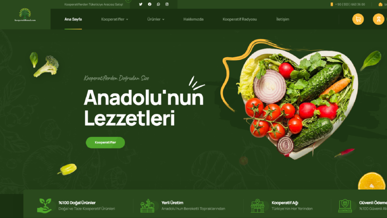 Kooperatif Platformu