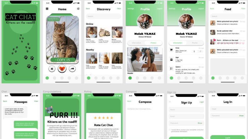 Cat Chat ve FinTech Uygulama & Landing Page