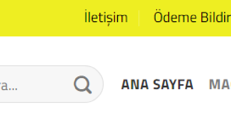 E-Ticaret