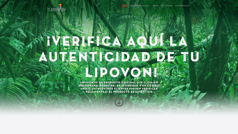 lipovon.mx - Web Sitesi PHP Veritabanı Çalışmam