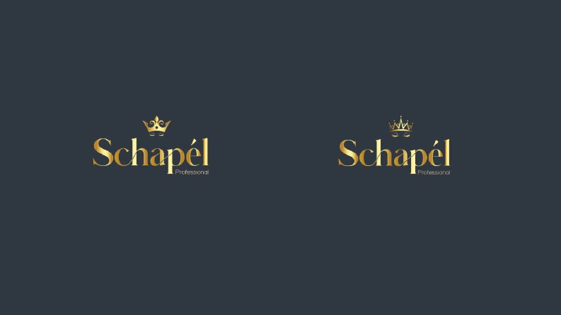 Schapél Professional-Logo Design