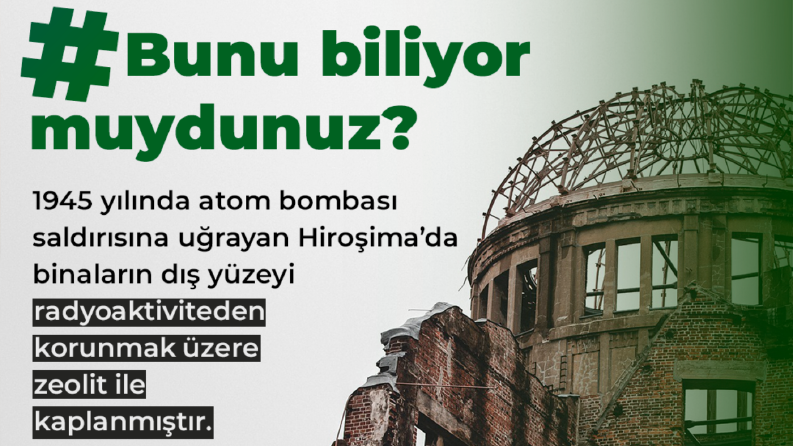 Panaceo sosyal medya yönetimi
