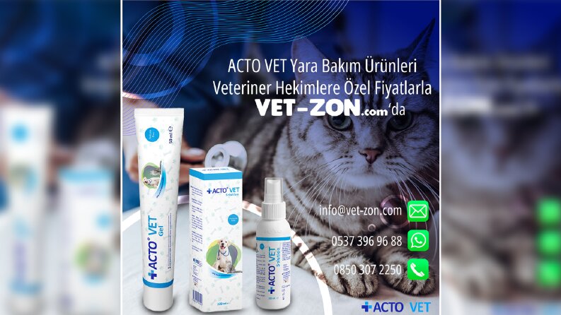 Vet-Zon Post