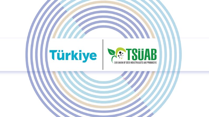 TÜRKİYE X TSÜAB / Tanıtım Kartı Tasarımı 