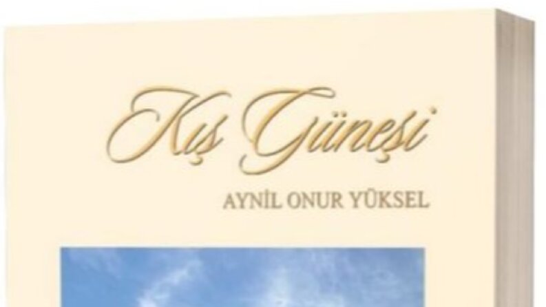 Kış Güneşi - Editöryal düzenleme