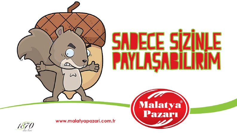 Sosyal Medya Çalışmalarım