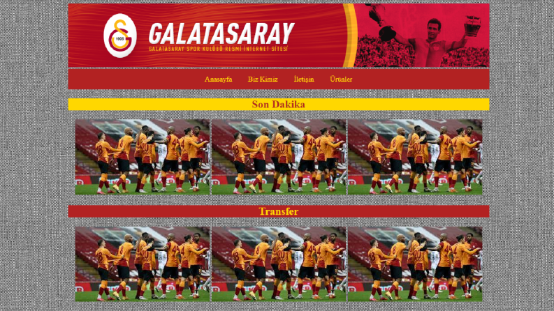 Örnek web tasarımı -3