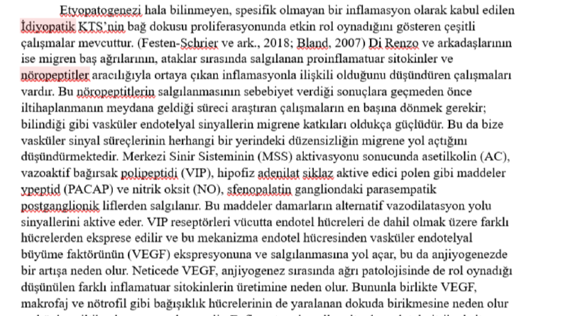 Tıbbi Akademik Çalışma (Tartışma)