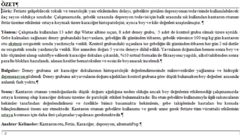 İş örneğim