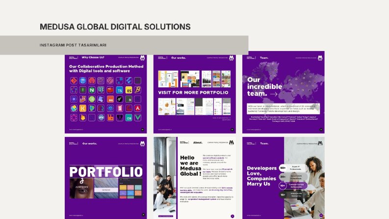 Medusa Global Digital Solutions