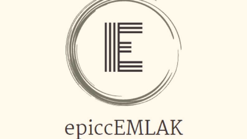 ben kuruluşunuza özel profesyonel logo tasarlarım