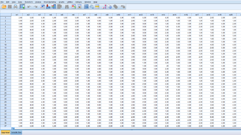 SPSS İstatistik Pkt. Prog. Analizleri