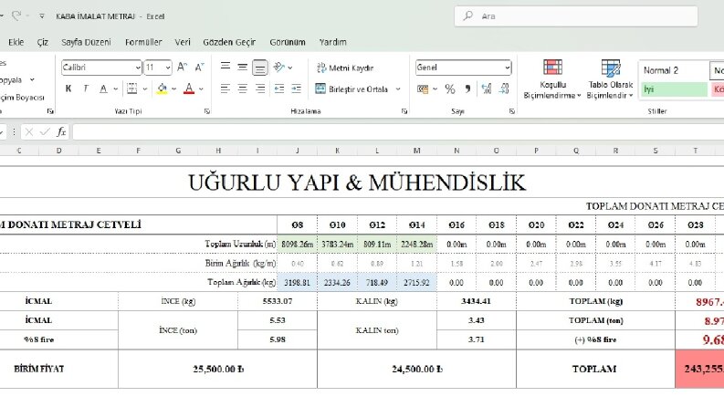 Profesyonel Excel Tasarımları
