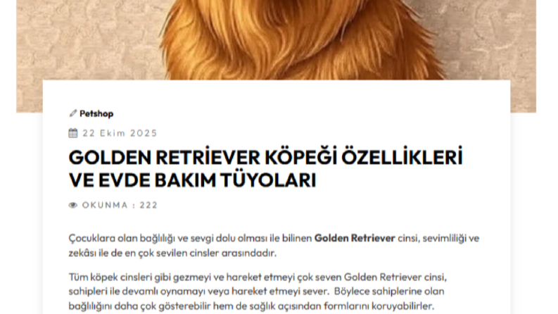Golden Retriever Köpeği Özellikleri Ve Evde Bakım  Tüyoları