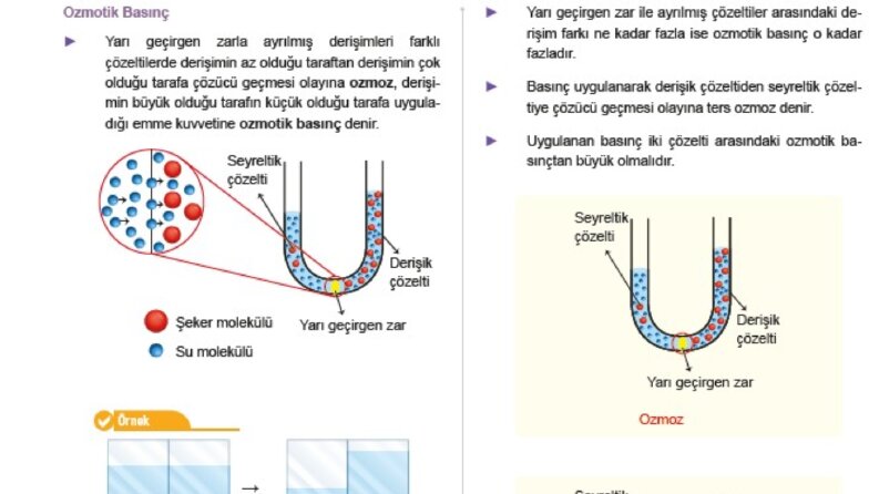 dizgi tasarım