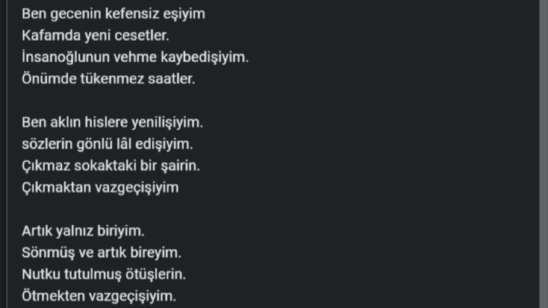 Örnek Şiir