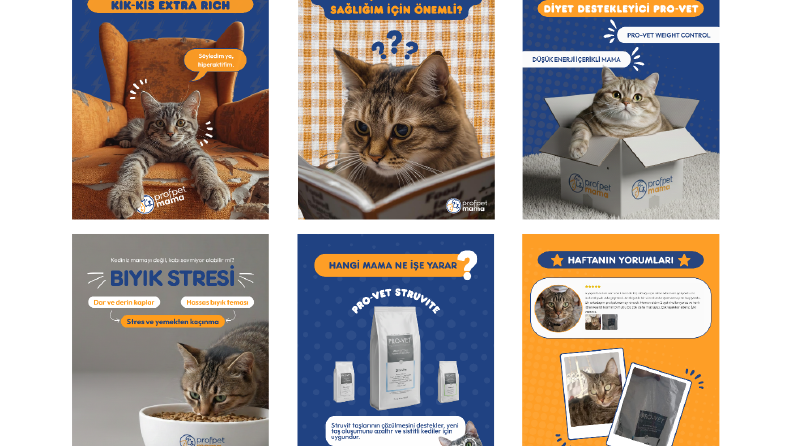 Petshop - Post Tasarımları
