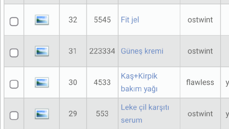 E ticaret sitesi ürün veri girişleri