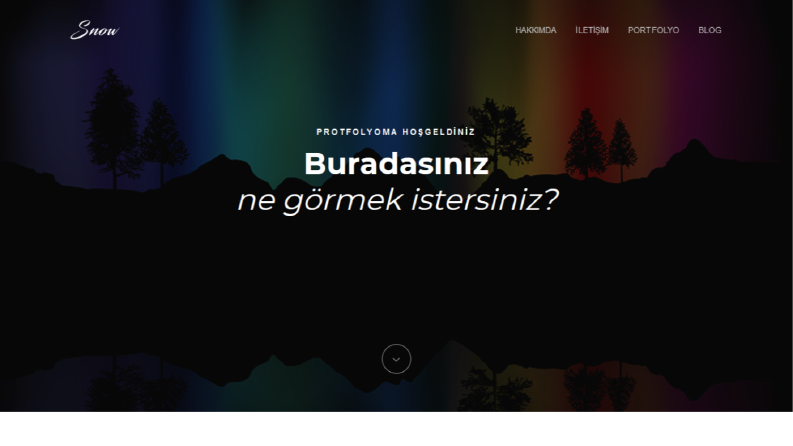 örnek wordpress tema