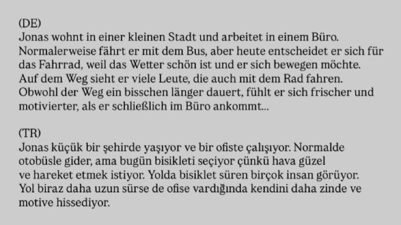 Almanca Çeviri