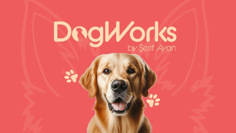 DogWorks Kurumsal Kimlik Tasarımı
