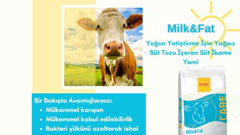 Ürün Broşürleri