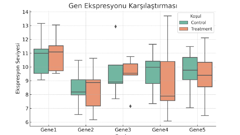 Gen Ekspresyonu Boxplot Grafiği