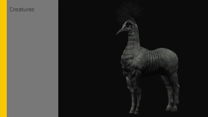 Creature Design