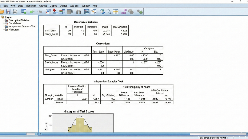 SPSS ANALİZİ