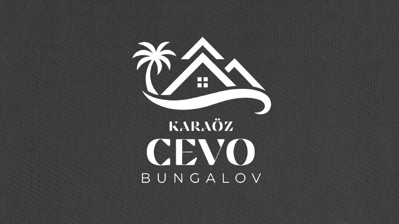 Profesyonel Logo Tasarımı