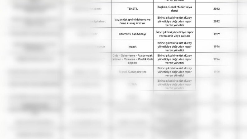 Profesyonel Online Anket Tasarımı, Yönlendirme ve Raporlama 