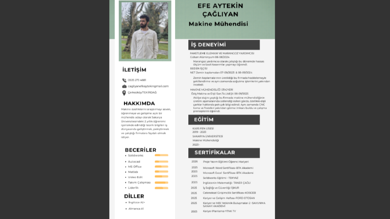 Etkili ve profesyonel CV
