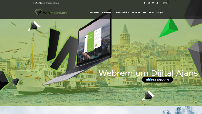 Web Tasarım
