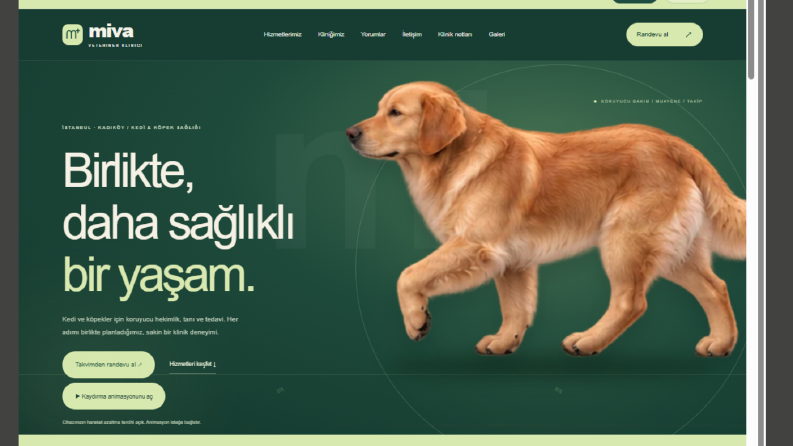 Veteriner Kliniği | Randevulu Web Sitesi